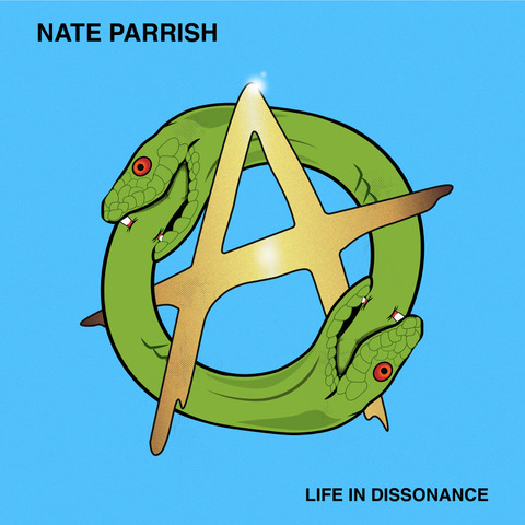 Life in Dissonance cover by Nate Parrish